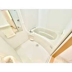 アンプルール　フェール　ベレーザのサムネイル