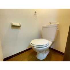 アンプルール ブワ ステラのサムネイル