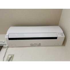 アンプルール ブワ ステラのサムネイル