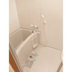 アンプルール ブワ 指扇Ⅱのサムネイル