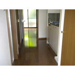 アンプルール ブワ SAKURAのサムネイル