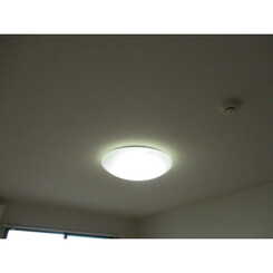 アンプルール ブワ フルールのサムネイル