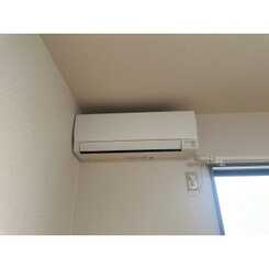 アンプルール ブワ フルールのサムネイル