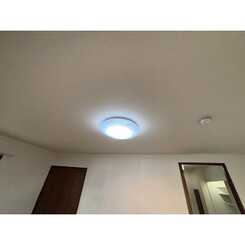 アンプルール フェール 椋のサムネイル