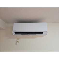 アンプルール フェール 椋のサムネイル