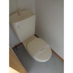 アンプルールフェール Wadaのサムネイル