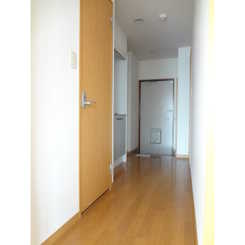 アンプルールフェール Wadaのサムネイル