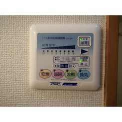アンプルールフェール Wadaのサムネイル