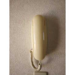 プレジール Rのサムネイル