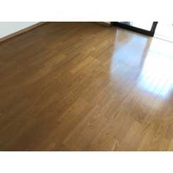 プレジール 笹川のサムネイル