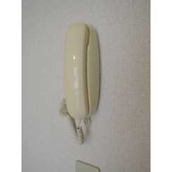 プレジール アンフルールのサムネイル