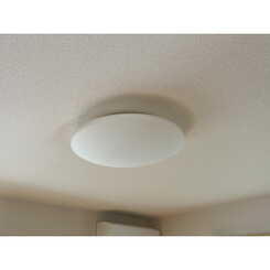 アンプルールリーブルルーアンのサムネイル