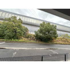 アンプルールリーブルルーアンのサムネイル