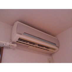 アンプルールリーブルpear fieldⅠのサムネイル