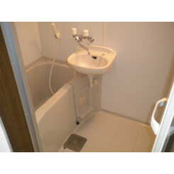 アンプルールリーブルキニーネSUNのサムネイル