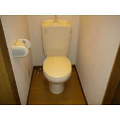 アンプルールリーブルキニーネSUNのサムネイル