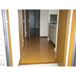 アンプルールリーブルキニーネSUNのサムネイル