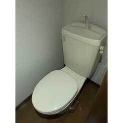 アンプルール リーブル Poloのサムネイル