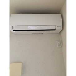 アンプルール リーブル Poloのサムネイル