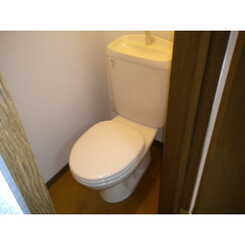 アンプルール リーブル Soleadoのサムネイル