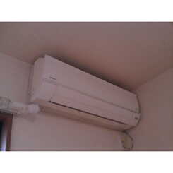 アンプルール リーブル Soleadoのサムネイル