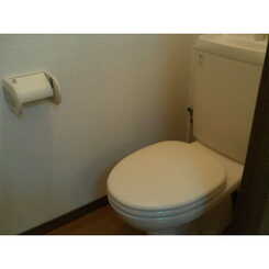 アンプルール リーブル Soleadoのサムネイル