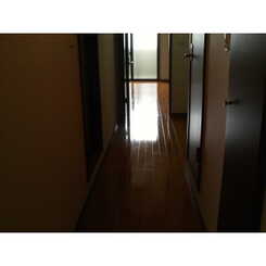 アンプルール リーブル Soleadoのサムネイル