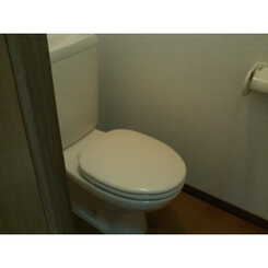 アンプルール リーブル Bungaのサムネイル