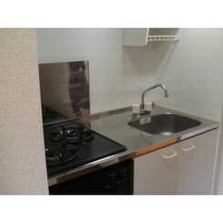 アンプルール リーブル Bungaのサムネイル