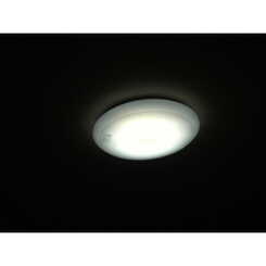 アンプルール リーブル Bungaのサムネイル