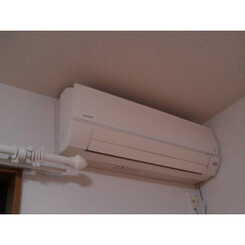 アンプルール リーブル Bungaのサムネイル