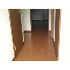 アンプルール リーブル Bungaのサムネイル