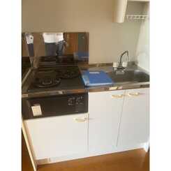 アンプルール リーブル リベルテⅡのサムネイル