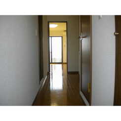 アンプルール リーブル アラーコのサムネイル