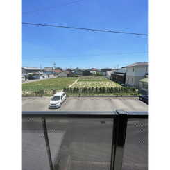 アンプルール リーブル アラーコのサムネイル