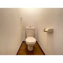 アンプルール リーブル サン・ステージⅡのサムネイル