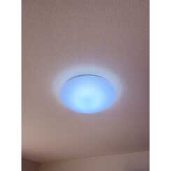 アンプルール リーブル SoleadoⅡのサムネイル