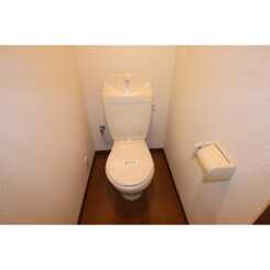 アンプルール リーブル ゴールドクレストのサムネイル