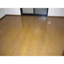 アンプルール リーブル アメジストのサムネイル