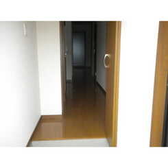 アンプルール リーブル アメジストのサムネイル