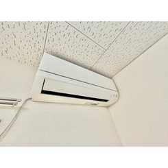 ウェールのサムネイル