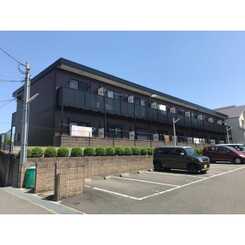 アンプルール モンターニュⅡ