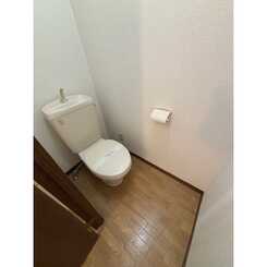 アンプルールエアリーズのサムネイル