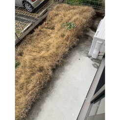 アスピリア　常安Ａのサムネイル