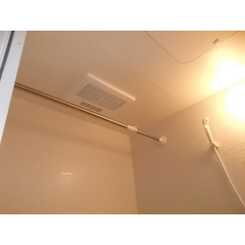 アムールカーサ・アレーグレのサムネイル