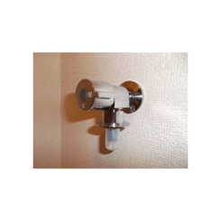 アムールカーサ・アレーグレのサムネイル