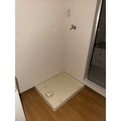 ビューラー丸山のサムネイル