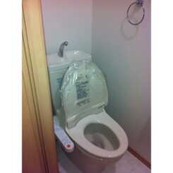 アスピリア　シャテニエのサムネイル