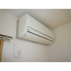 アムール　パスティックのサムネイル