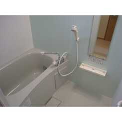 アムール セゾンのサムネイル